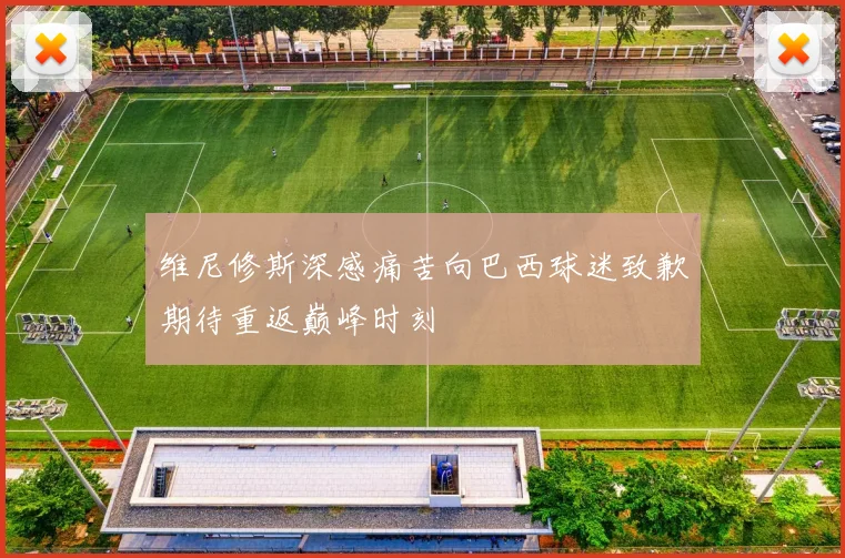 维尼修斯深感痛苦向巴西球迷致歉期待重返巅峰时刻