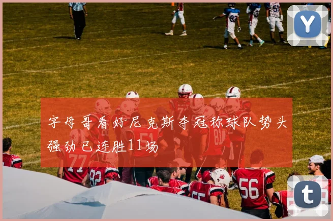 字母哥看好尼克斯夺冠称球队势头强劲已连胜11场